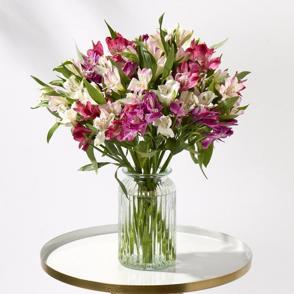 Deluxe Amazing Alstroemeria