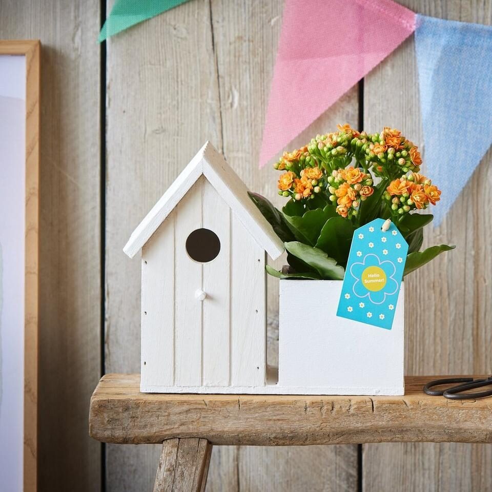 Little Bird House