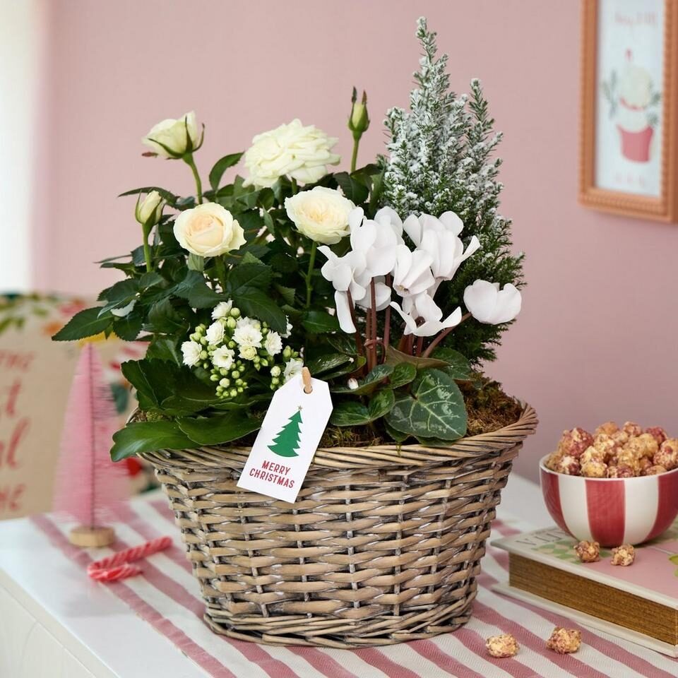 Luxury Winter Basket