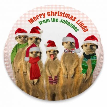 Festive Meerkats Cake (letterbox gift cake (serves 2-4))