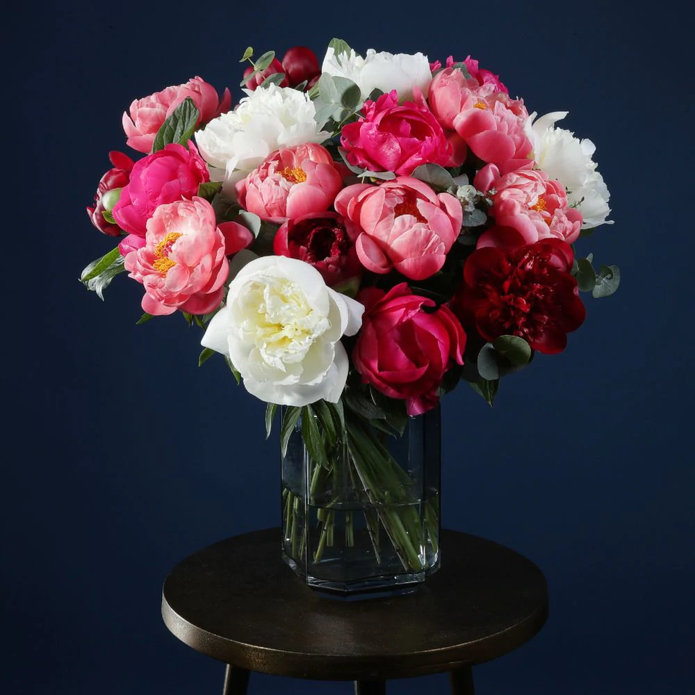 3 Month Gift Subscription - Fortnightly