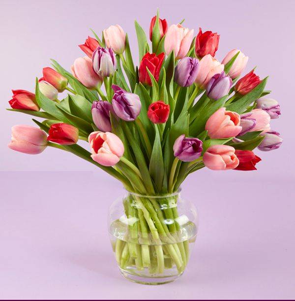 The Thank You Mum Tulips Bouquet