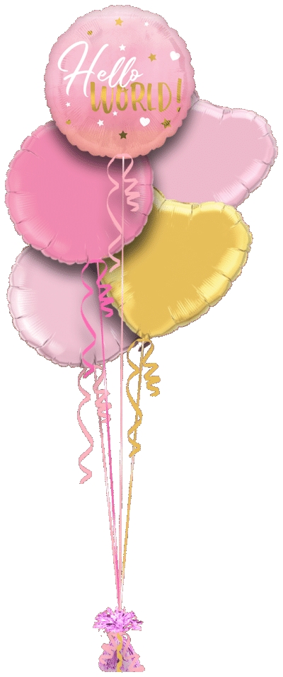 Hello World Pink