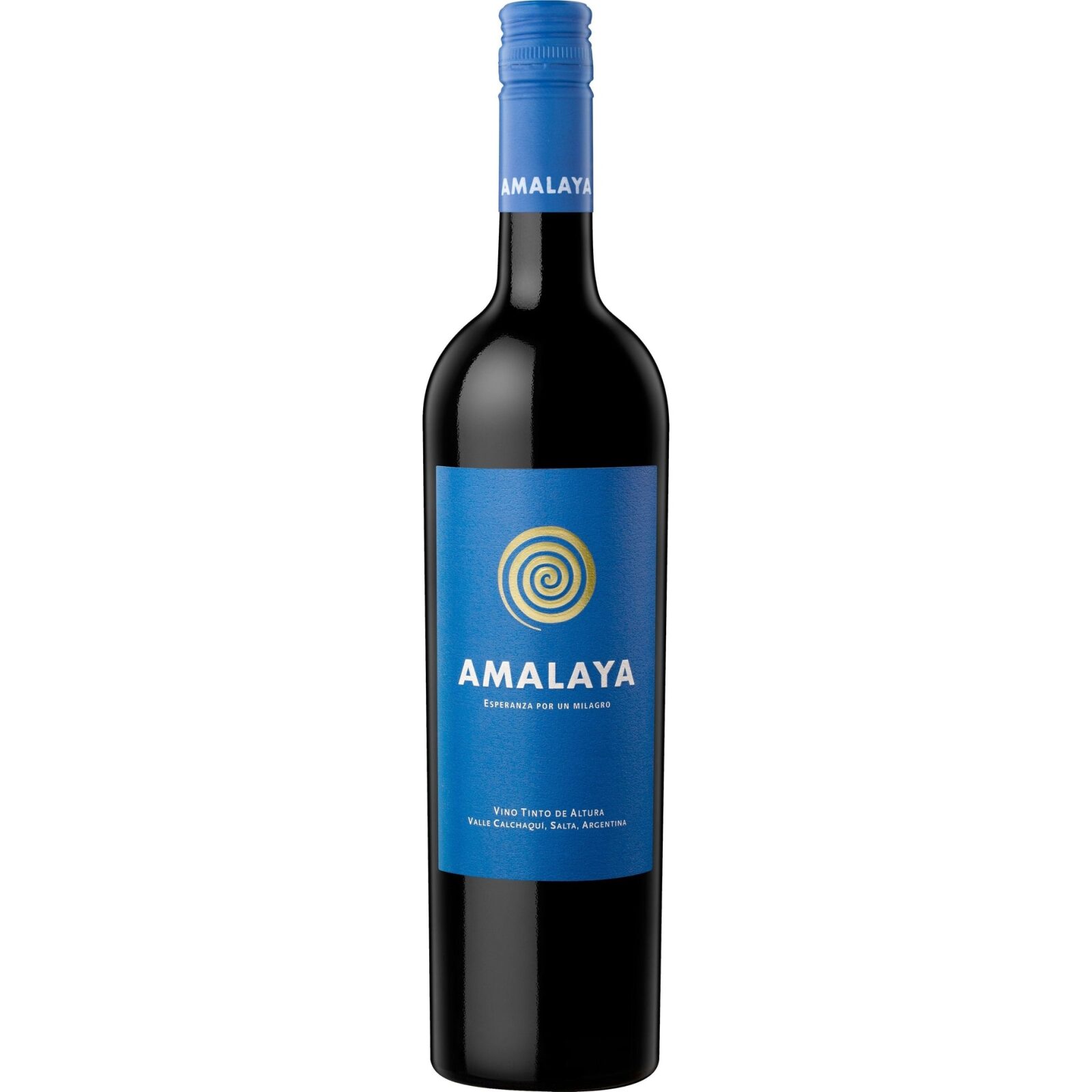 Amalaya CalchaquÃ­ Valley Malbec