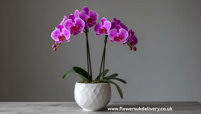 send Anniversary flowers