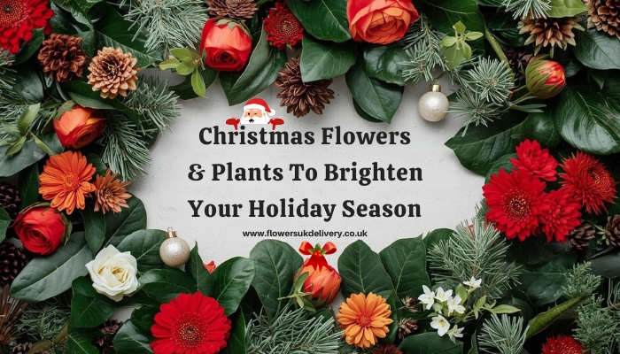 Christmas Flowers and Plants To Brighten Your Holiday Season