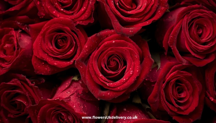 Beautiful Valentine bouquet flowers red roses UK delivery