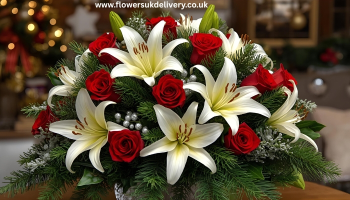 Christmas flower gifts poinsettia red blooms festive plant holiday decoration