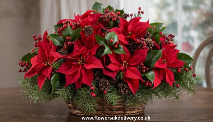 order online Christmas flowers poinsettia arrangement UK delivery