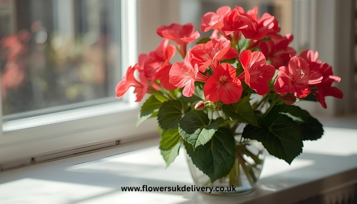 send Anniversary Flowers