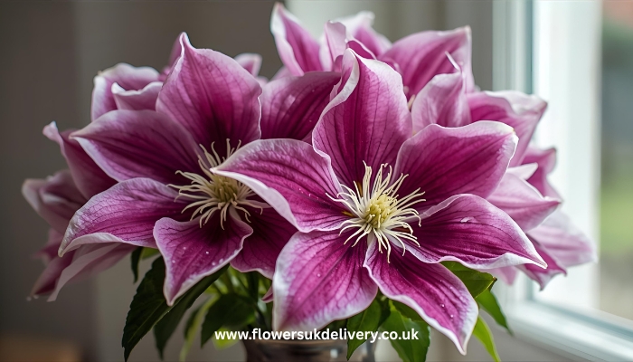 send Anniversary Flowers